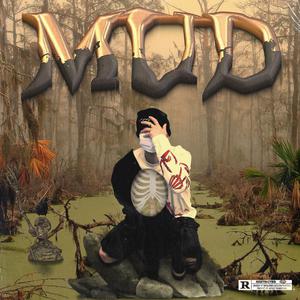 面板赚钱小鲤导航
