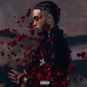 面板赚钱小鲤导航
