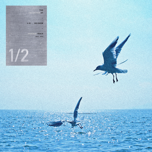 面板赚钱小鲤导航
