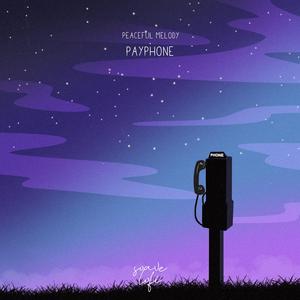 面板赚钱小鲤导航
